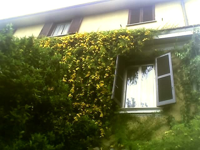  Giardino Liuzzo 1